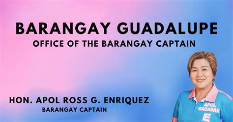 cebu city barangay captains|Barangay Guadalupe .